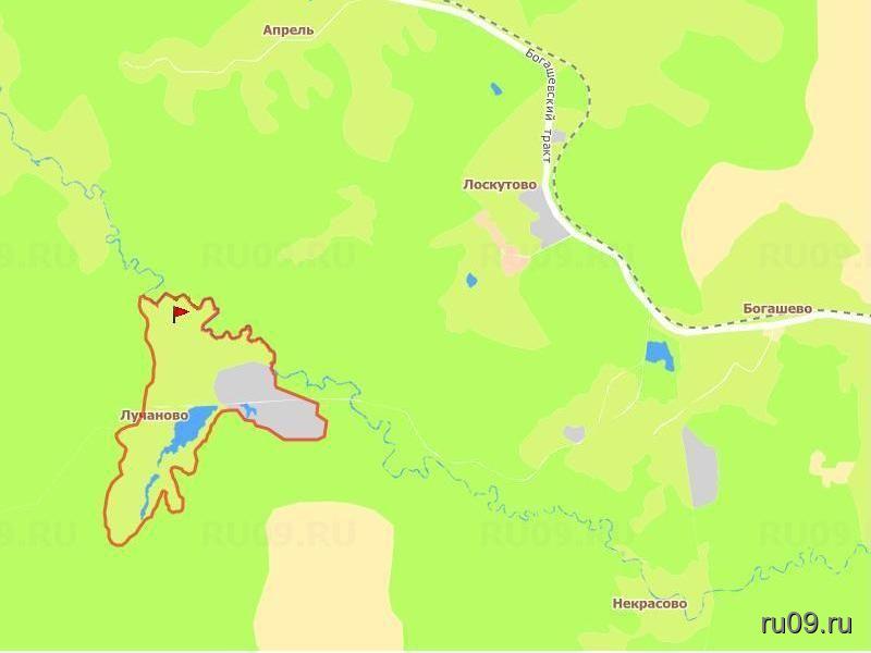 Богашево томская область карта