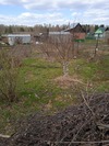 земля П. СВЕТЛЫЙ в Томской области (фото 4)