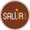 логотип «Салур»